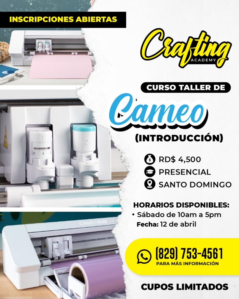 Curso de Cameo para principiantes en Santo Domingo